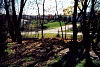 backyard001.jpg