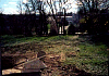 backyard.jpg
